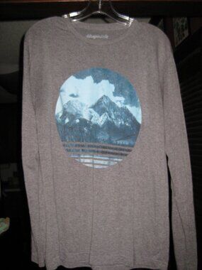 Aeropostale Large Graphic Gray Long Sleeve Shirt- Very Soft